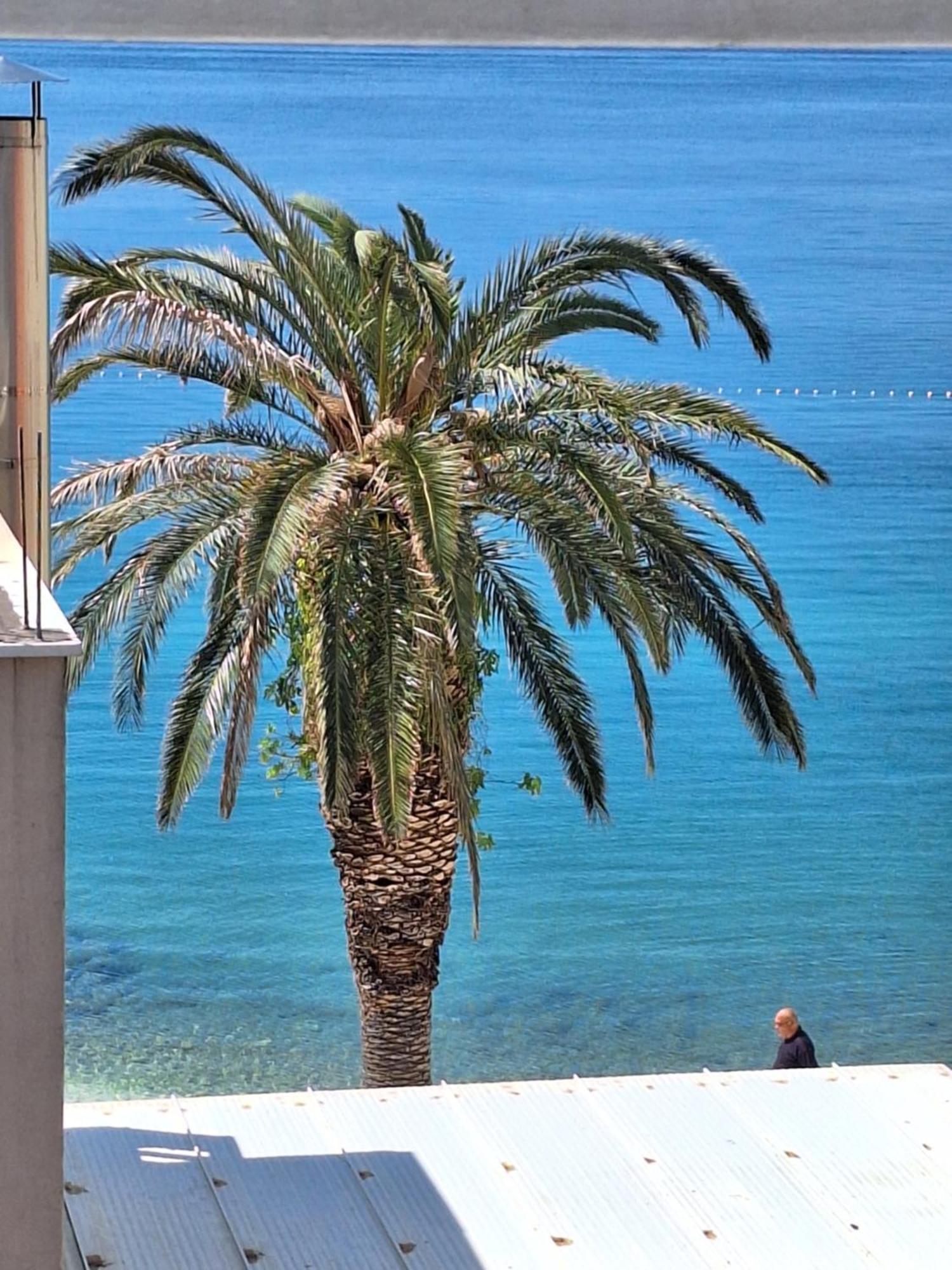 Apartman Graciela Perfect Location Gradac Gradac  Luaran gambar